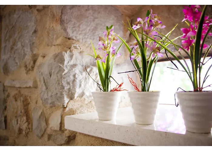 Apartament Amabile Split