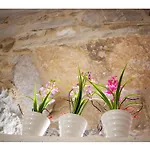 Apartman Amabile