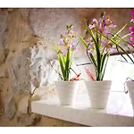 Apartman Amabile Split