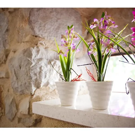 公寓 Amabile 斯普利特